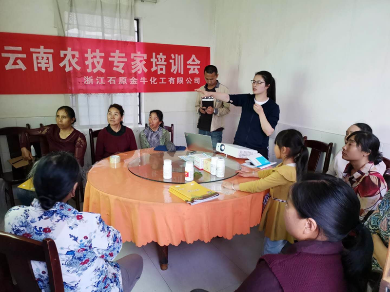 腳踏實地做推廣 持之以恒出業(yè)績 &mdash;&mdash;記石原金牛業(yè)務骨干項仰仰