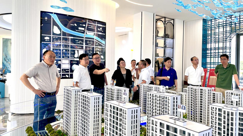 省供銷社理事會副主任沈省文到浙農(nóng)實(shí)業(yè)松陽項(xiàng)目調(diào)研