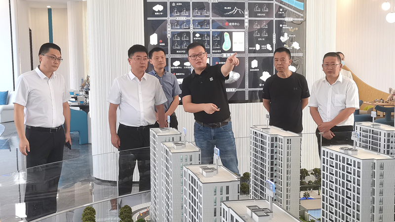 松陽縣委副書記梁海剛到美林&middot;南宸府項目調研